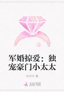 《军婚掠爱：独宠豪门小太太》封面