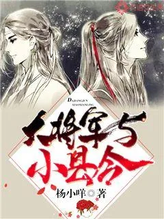 《大将军与小县令》封面