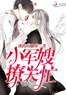 《小军嫂，撩夫忙》封面