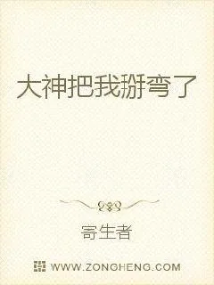 《大神把我掰弯了》封面