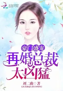 《豪门盛宠：再婚总裁，太凶猛！》封面