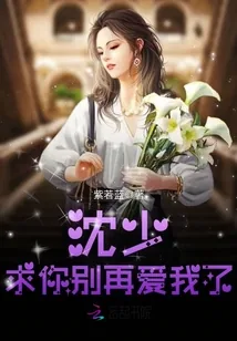 《沈少，求你别再爱我了》封面