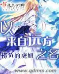 《以来自远方之名》封面