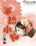 《半劫小仙》封面
