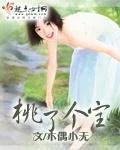 《桃了个宝》封面
