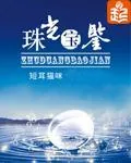 《珠光宝鉴》封面