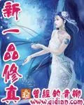《新一品修真》封面