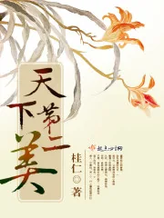 《天下第二美》封面