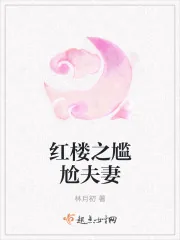 《红楼之尴尬夫妻》封面