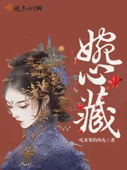 《婉心藏》封面