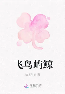 《飞鸟屿鲸》封面