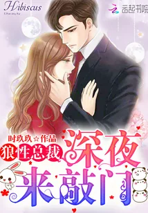 《狼性总裁，深夜来敲门》小说封面