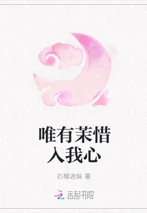 《唯有茉惜入我心》封面