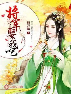 《将军，娶我吧！》封面
