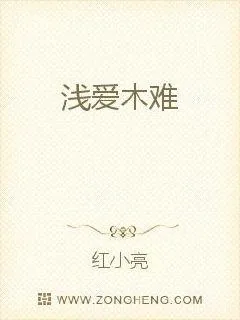 《冒牌公主：将军驸马很难追》封面