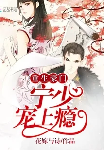 《重生豪门：宁少，宠上瘾》小说封面