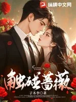 《触碰蔷薇》小说封面