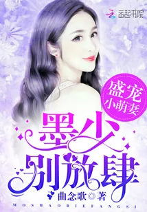 《盛宠小萌妻：墨少，别放肆》封面