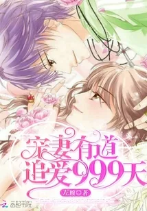 《宠妻有道：追爱999天》封面