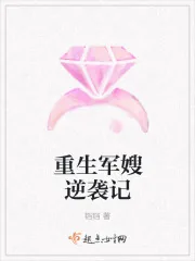 《重生军嫂逆袭记》封面