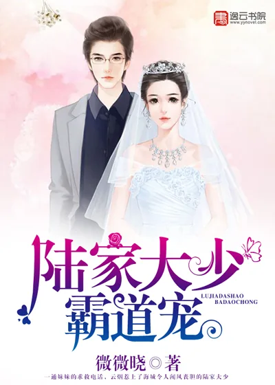 《陆家大少霸道宠》封面