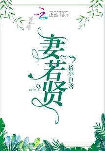 《妻若贤》小说封面