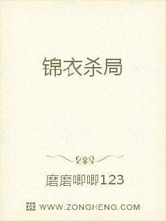 《锦衣杀局》封面