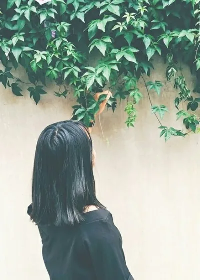 《半座城池半繁华》封面