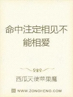 《命中注定相见不能相爱》封面
