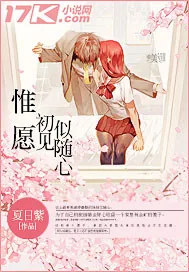 《惟愿初见似随心》封面