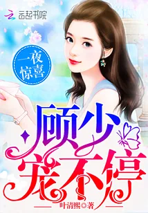 《一夜惊喜：顾少，宠不停》封面
