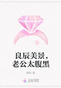 《良辰美景，老公太腹黑》封面