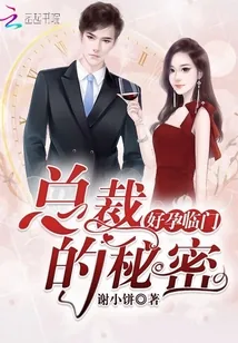 《好孕临门：总裁的秘密》封面