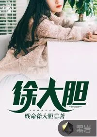 《徐大胆》封面