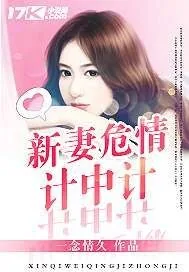 《新妻危情计中计》封面