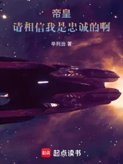 《战锤:帝皇,请相信我是忠诚的!》小说封面