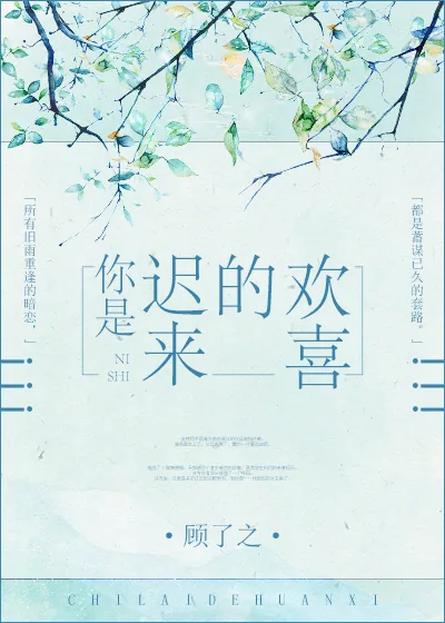 《你是迟来的欢喜》小说封面