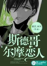 《斯德哥尔摩恋人》封面