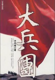 《大兵团》封面