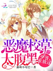 《恶魔校草太腹黑:少爷,求放过》小说封面