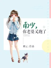 《南少老婆又跑了》小说封面