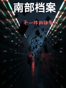 《南部档案不一样的张家人》封面