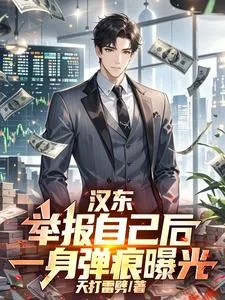 《汉东：举报自己后，一身弹痕曝光》小说封面