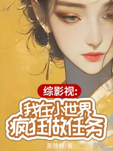 《综影视:我在小世界疯狂做任务》小说封面