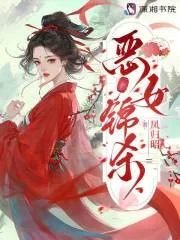《恶女锦杀》小说封面