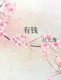 《有钱》小说封面