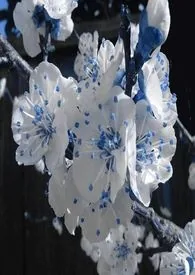 《春秋》小说封面
