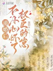 《退婚后，不小心怀了权臣的崽》小说封面