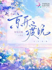 《京舟渡晚》小说封面