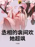 《丞相的衾间欢,她超飒》小说封面